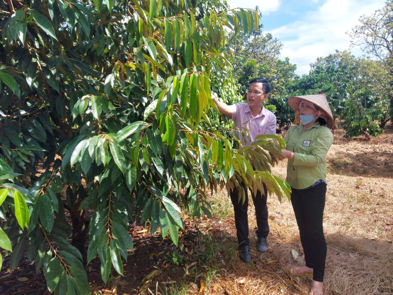 z7279584974349 b8bd1f84c5ea542180975ecbc9c61e8f